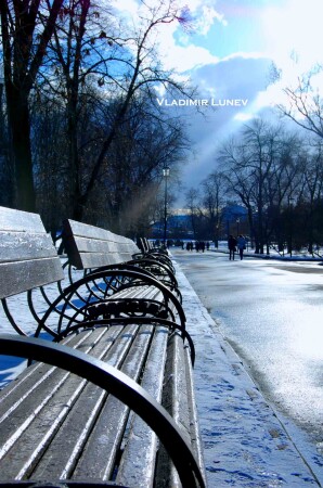 [ЛАВОЧКИ В АЛЕКСАНДРОВСКОМ САДУ]