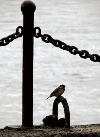 маленький...