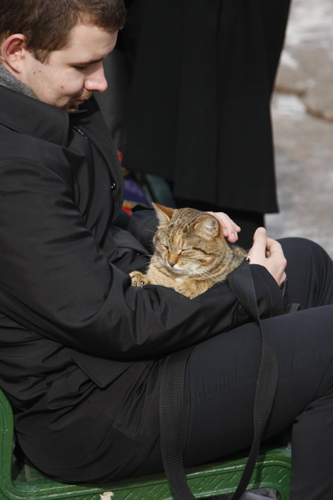 Парочка на лавочке