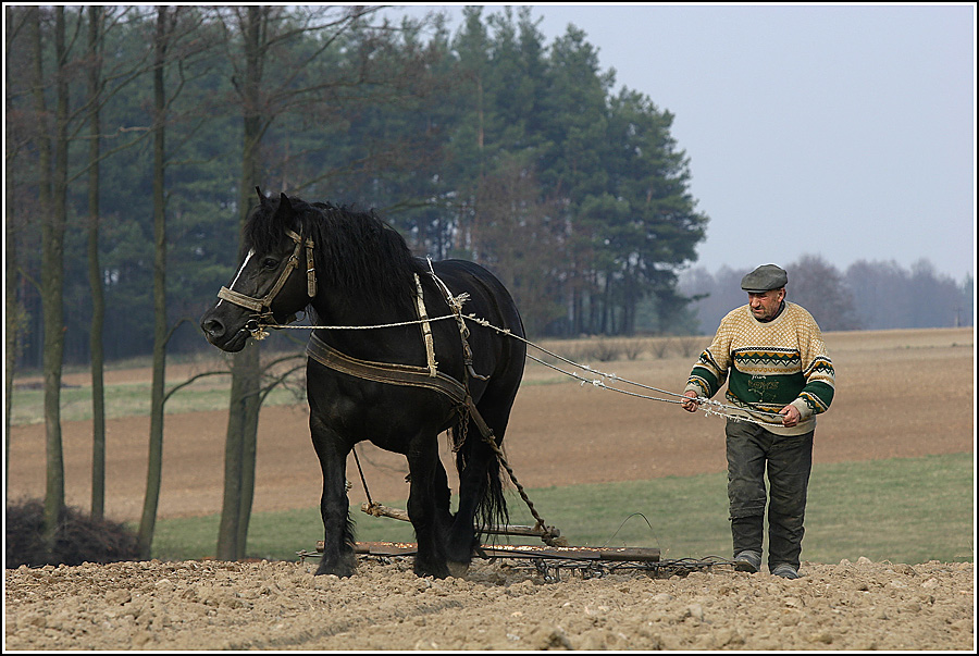 весенний сев 