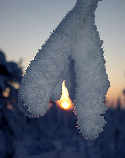 За солнышком