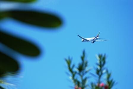 &amp;quot;Пчелка&amp;quot;