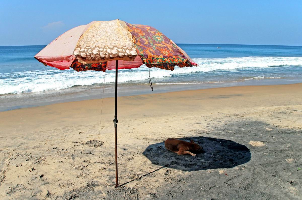 Varkala beach.