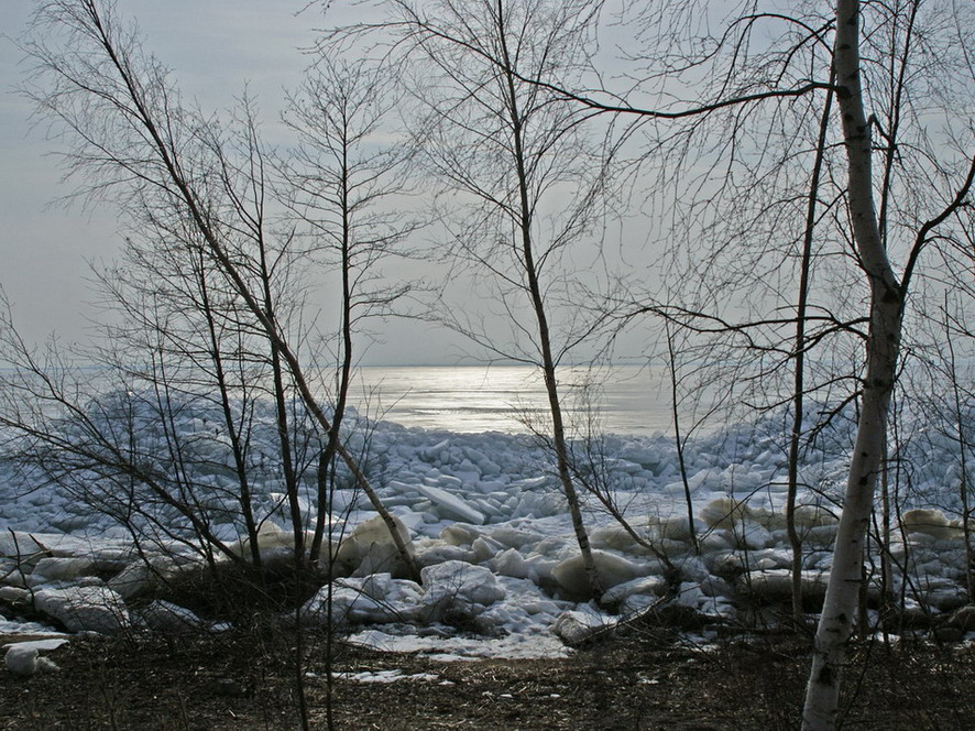 весеннее солнце