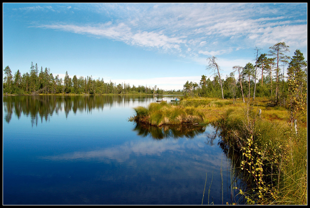 Лесная рыбацкая