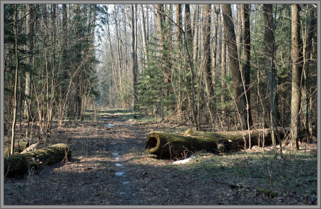 Время надежд