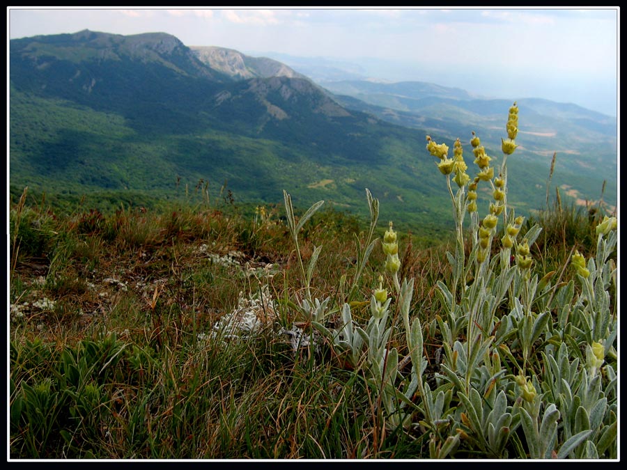 крымское