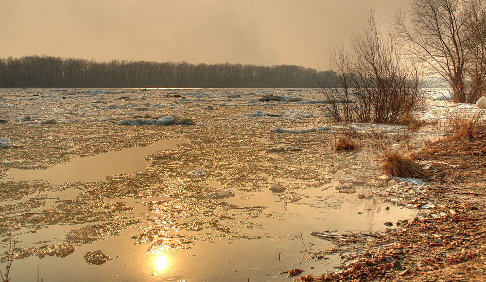 Un peu de soleil dans l'eau froide (Немного солнца в холодной воде). 