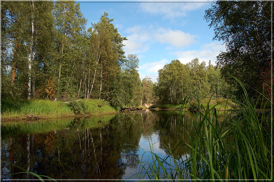 Летом на р. Ширшема