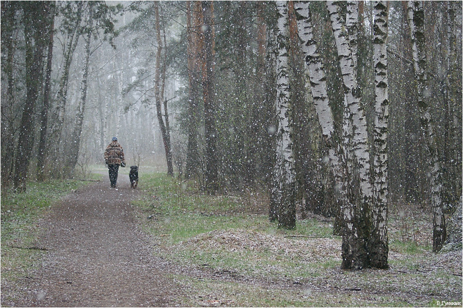 Весенняя прогулка