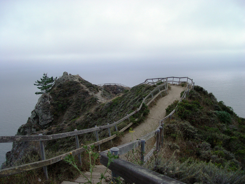 Muir Wood Beach