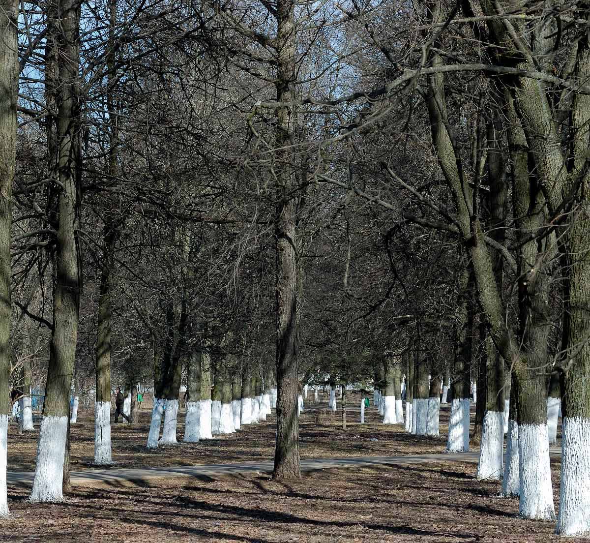 В ожидании весны...