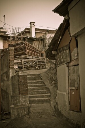 Сквозь хаос