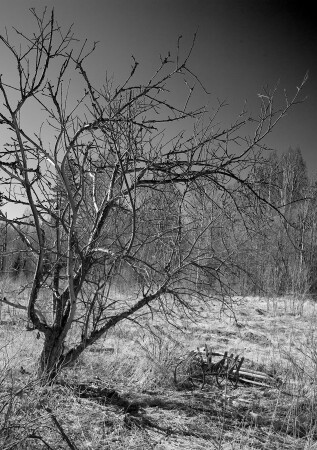 На заброшенном хуторе