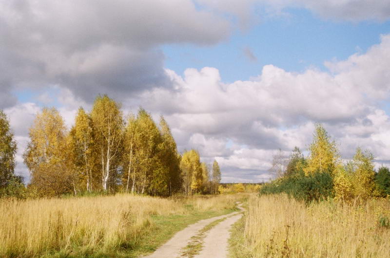 Золотая осень