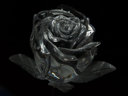 Ледяная роза