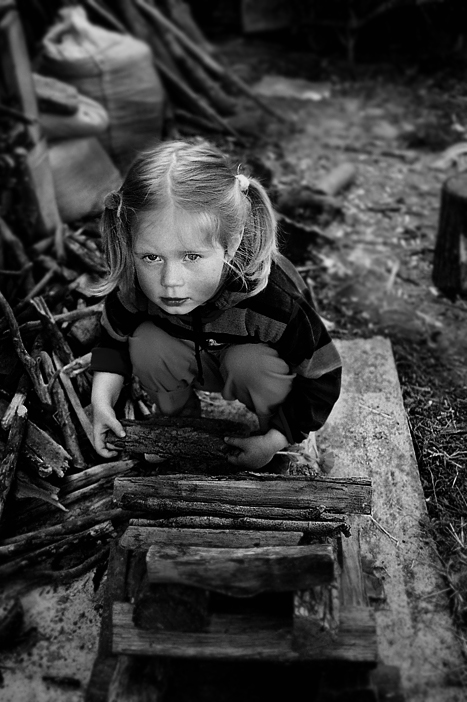 building a wood house for the friends