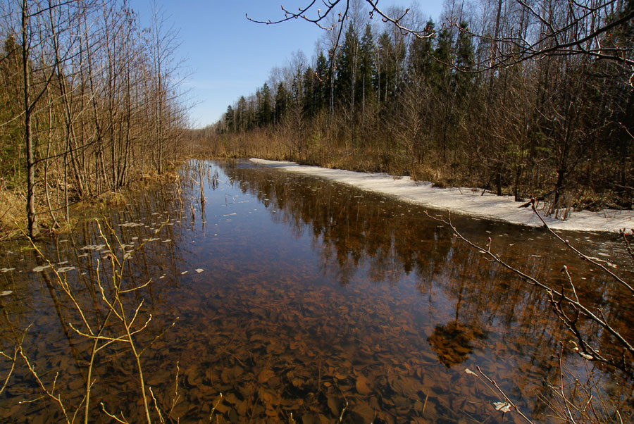 ПРОСЕКА