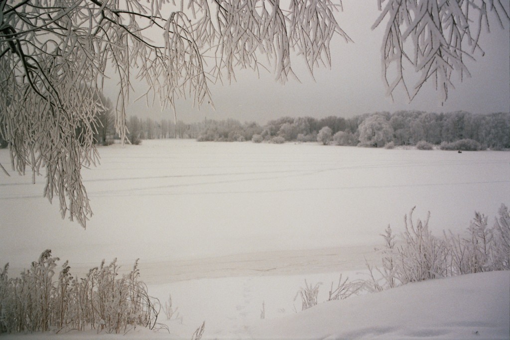 Зимнее утро