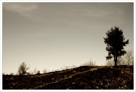 Мертвая земля 