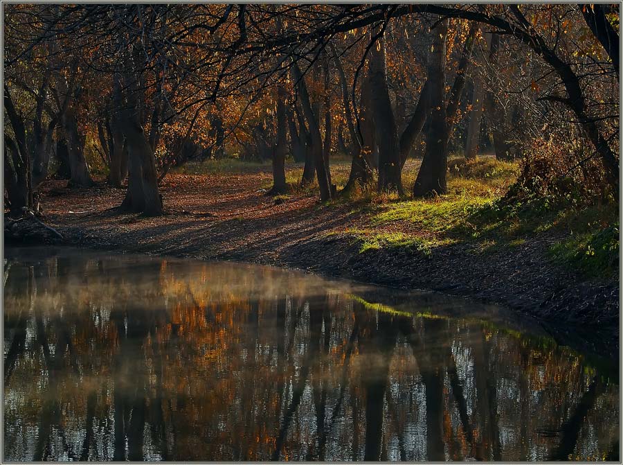 &quot;Мокрое утро&quot;.