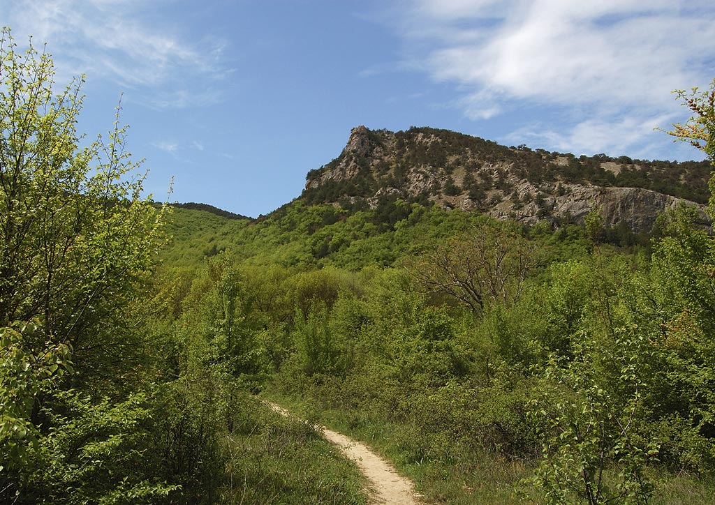 В долине Чёрной Речки.