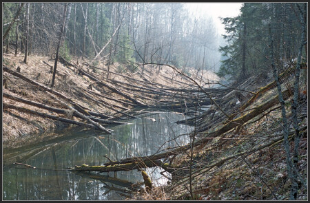 Апрельское утро