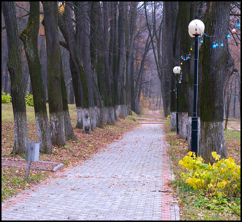 Петровская осень