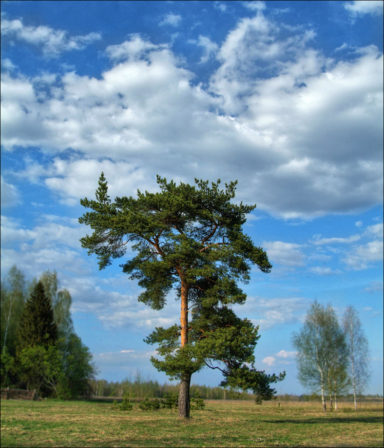 Подражая Великим...