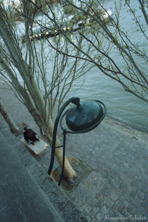 Quai du Louvre