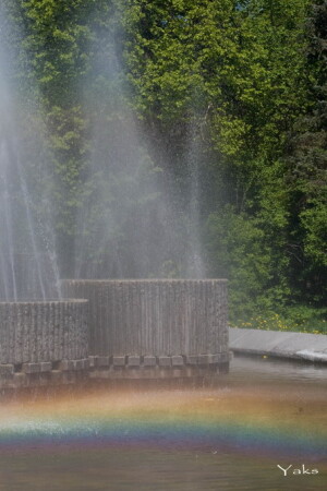 Волшебство света