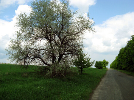 &#039;без названия 1