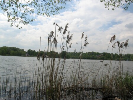 утро в Москве.