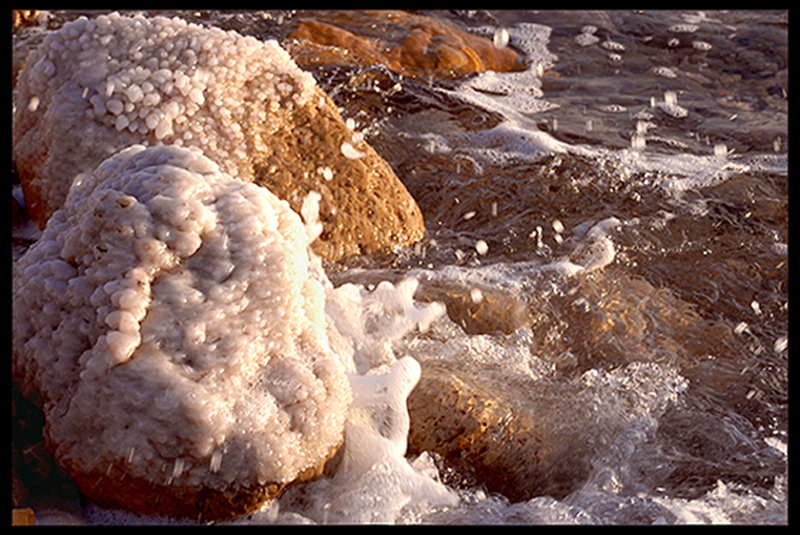 Живая вода Мертвого моря