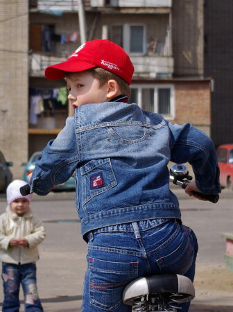 Вылысыпыдыст