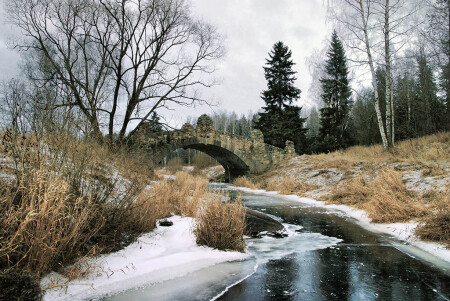 Павловск 2008 -зима