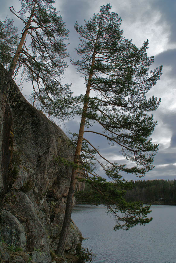 Зарисовки Карелии