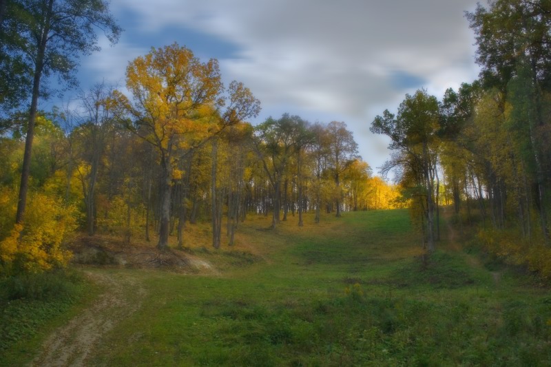 тропинка в осень