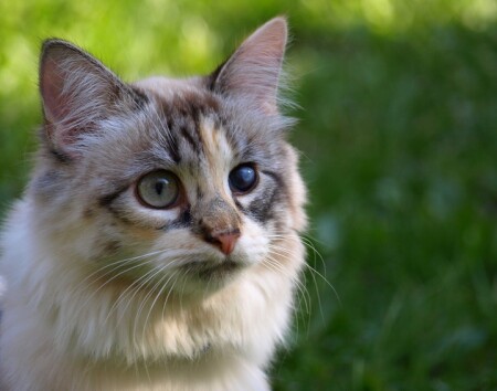 А как видят другие?