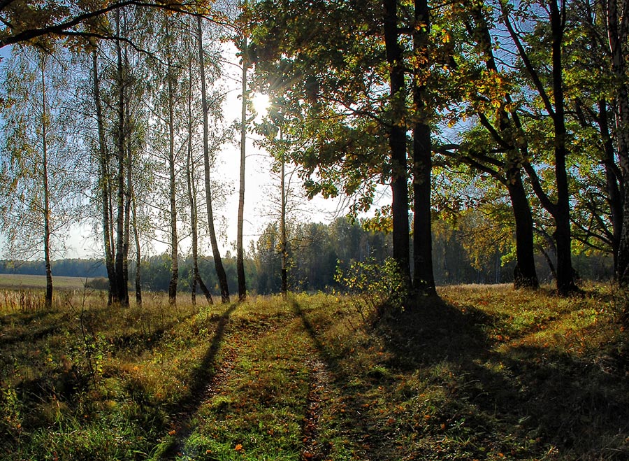 Осенняя