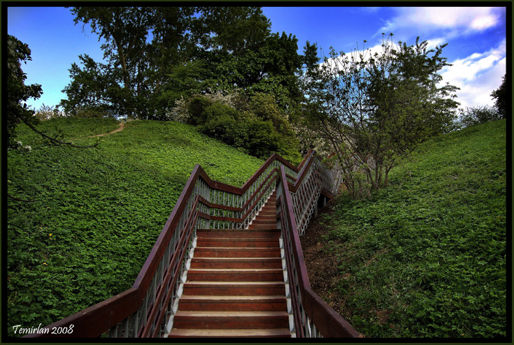 &quot;Ladder in a garden&quot;