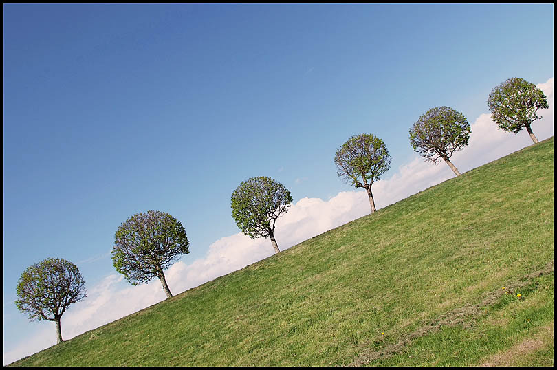 В облака