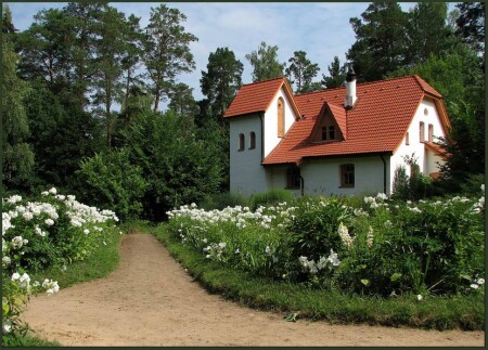 Флоксы. Поленово