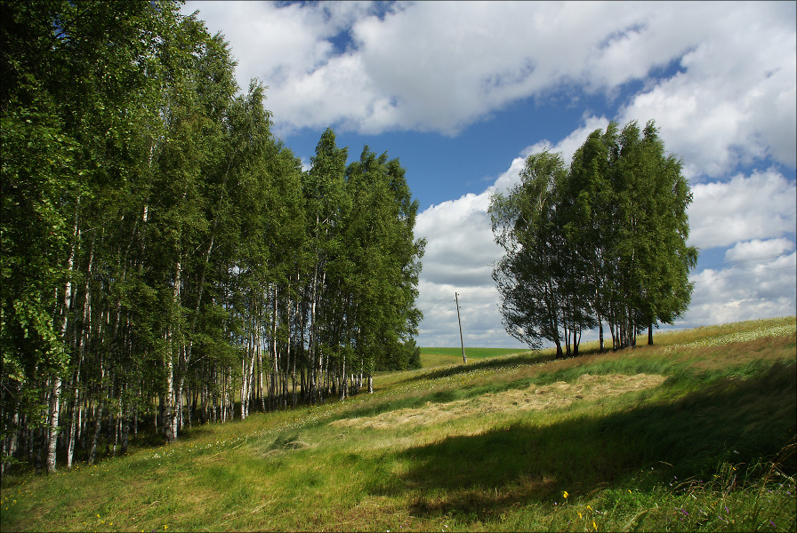 Средь лугов далёких