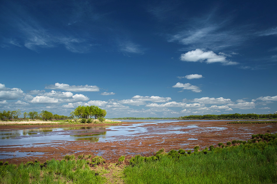 В заливе в малую воду