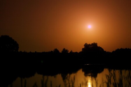 Лунная история