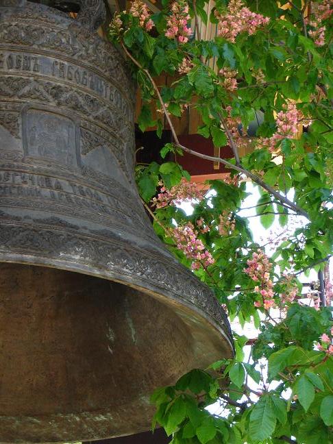 Bell-ringing