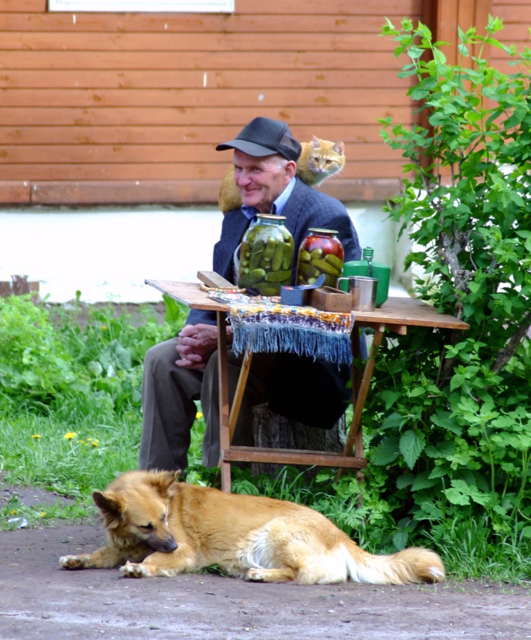 суздальский торжок