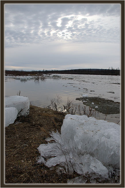 Осколки зимы