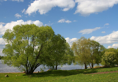 Весна на Волге